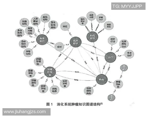 南京排球队技术分析与发展现状的深度探讨与展望 南京排球队技术分析与发展现状的深度探讨与展望