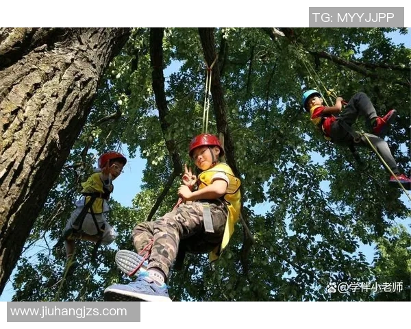西安攀岩队的力量变革引发热议攀岩运动的新风潮与发展潜力实时数据